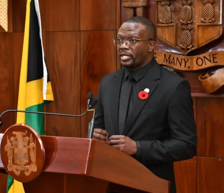 Jamaicans urged to remain vigilant despite sharp reduction in attempted cyberattacks