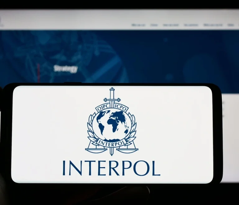 International Police Effort Obliterates Cybercrime Network